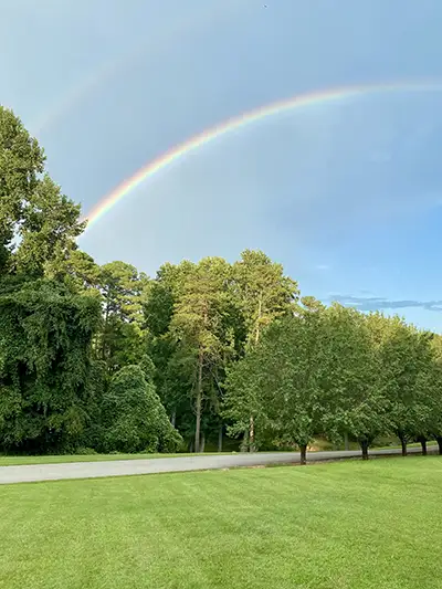 Landscape Maintenance, Rutherfordton, NC