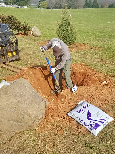 Tree Installation Rutherfordton, NC