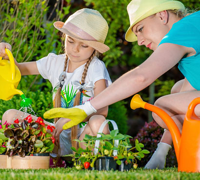 Residential Landscape Maintenance, Rutherfordton, NC