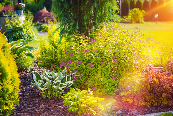 Landscaping, Rutherfordton, NC