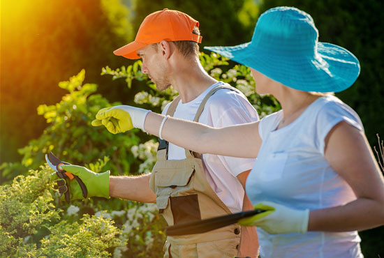 Landscape Maintenance, Rutherfordton, NC